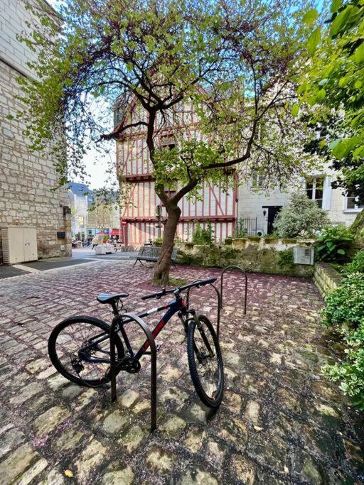 Appartement Cosy Hypercentre Place St Pierre Saumur Exterior photo